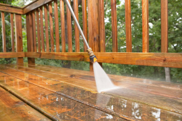 Best Solar Panel Cleaning  in Chackbay, LA